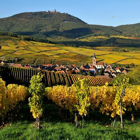 Soon - Maisonnette * Ribeauvillé